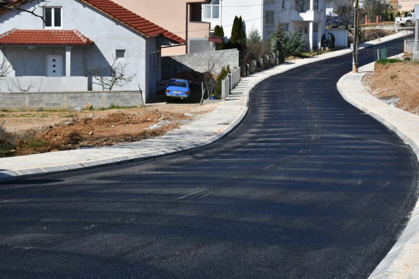 vido smilevski bato (4)