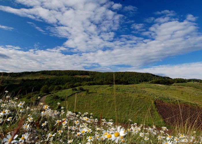 Plackovica planina-photo WIKI