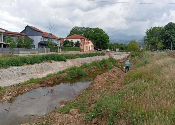larvicidno komarci (3)